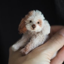 Джоня. Миниатюрный подвижный дружочек