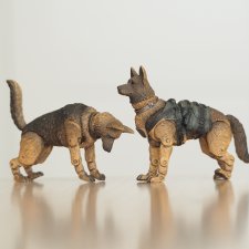 Шарнирные мини-овчарки