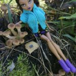 Как Лиу и Клодин за грибами ездили