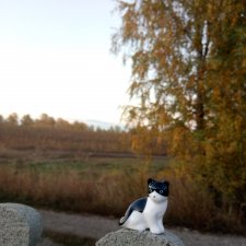 Компаньоны