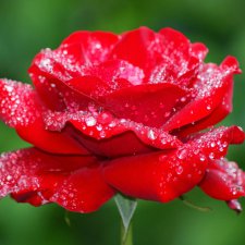 " Огонь, мерцающий в сосуде."Международный День Красоты - 9 сентября