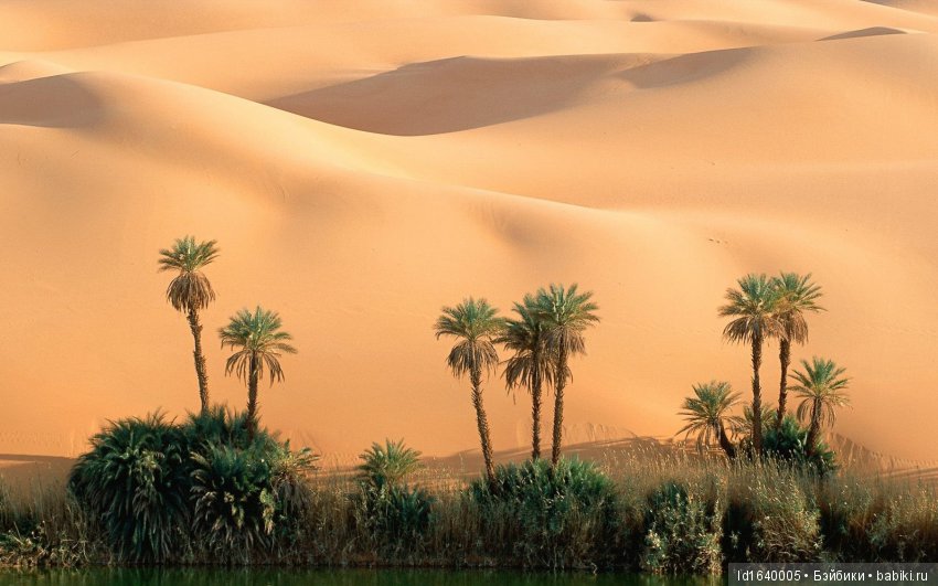 Белое солнце пустыни. Ч.4. Тайна АФАРСЕМОНА, не дававшая покоя Клеопатре. (дополнение к ч.3) (фото 3)