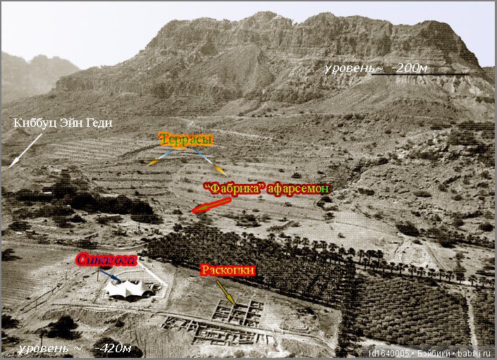 Белое солнце пустыни. Ч.4. Тайна АФАРСЕМОНА, не дававшая покоя Клеопатре. (дополнение к ч.3)
