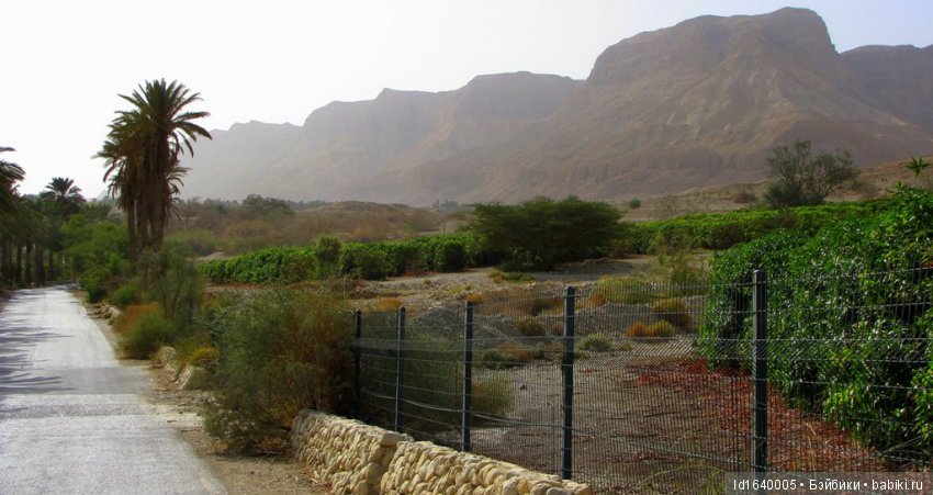 Белое солнце пустыни. Ч.4. Тайна АФАРСЕМОНА, не дававшая покоя Клеопатре. (дополнение к ч.3)