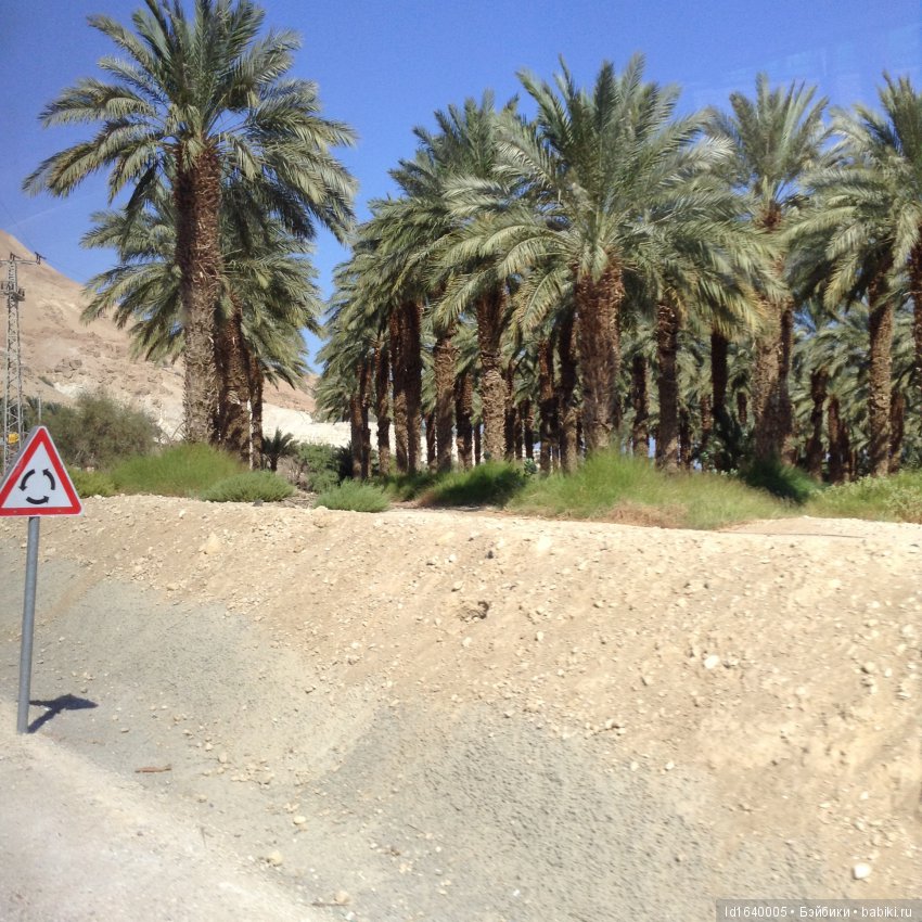 Белое солнце пустыни ч. 6. История и археология Эйн- Геди. Содом и Гомора (фото 8)