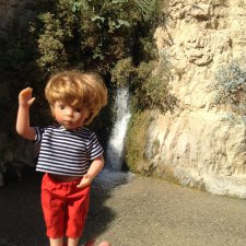 Белое солнце пустыни . Ч.7. Заповедник Эйн-Геди. Растения, животные, водопады.