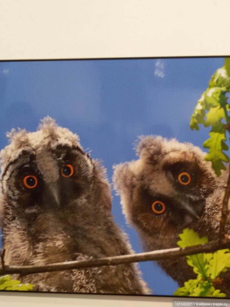 Фестиваль "Первозданная Россия" + Куклы, которые не были на Тишинке (фото 5)