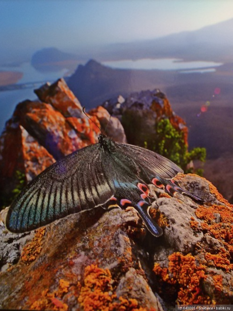 Фестиваль "Первозданная Россия" + Куклы, которые не были на Тишинке