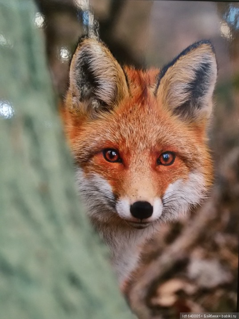 Фестиваль "Первозданная Россия" + Куклы, которые не были на Тишинке (фото 2)