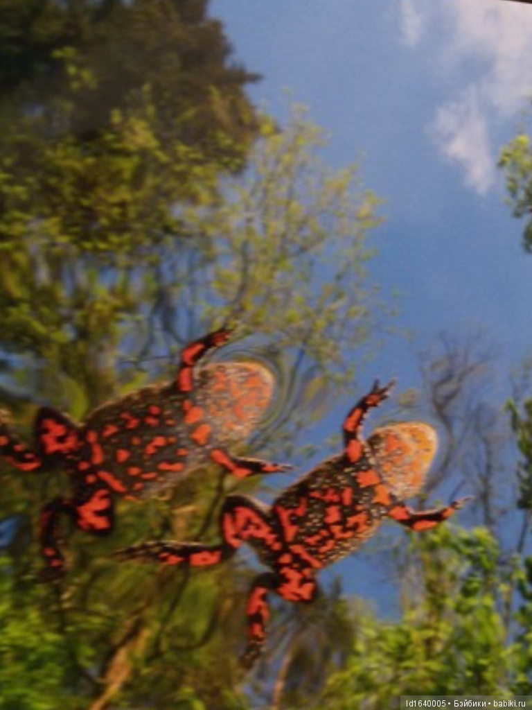 Фестиваль "Первозданная Россия" + Куклы, которые не были на Тишинке (фото 8)