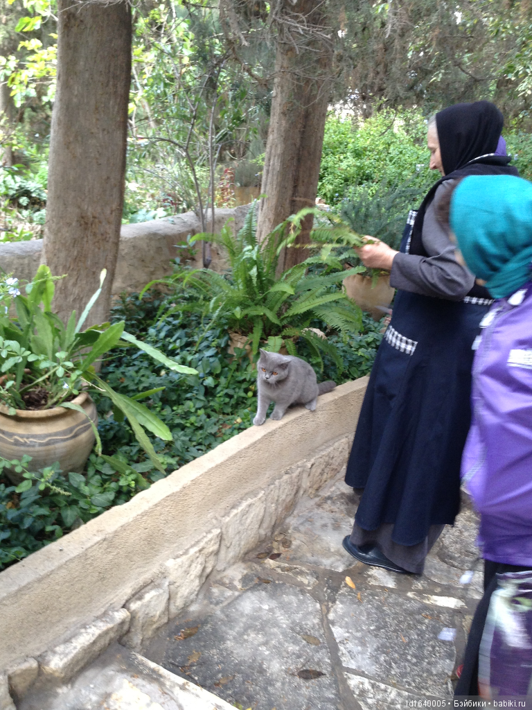 "Маленькие радости большого праздника"