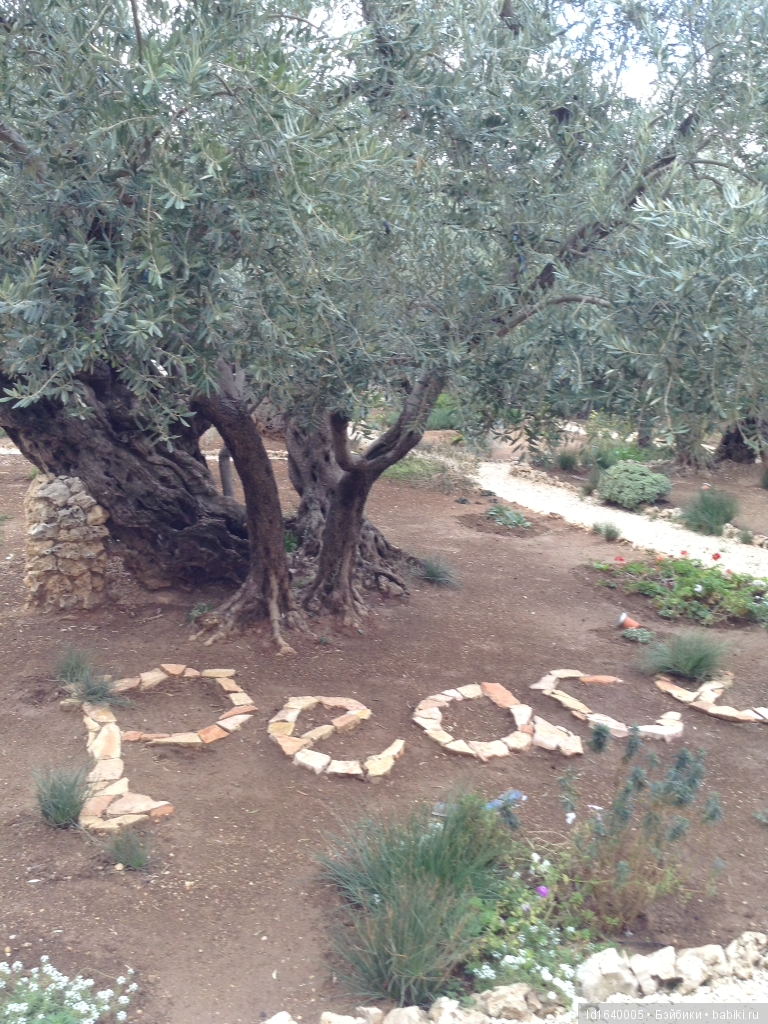 "Маленькие радости большого праздника"