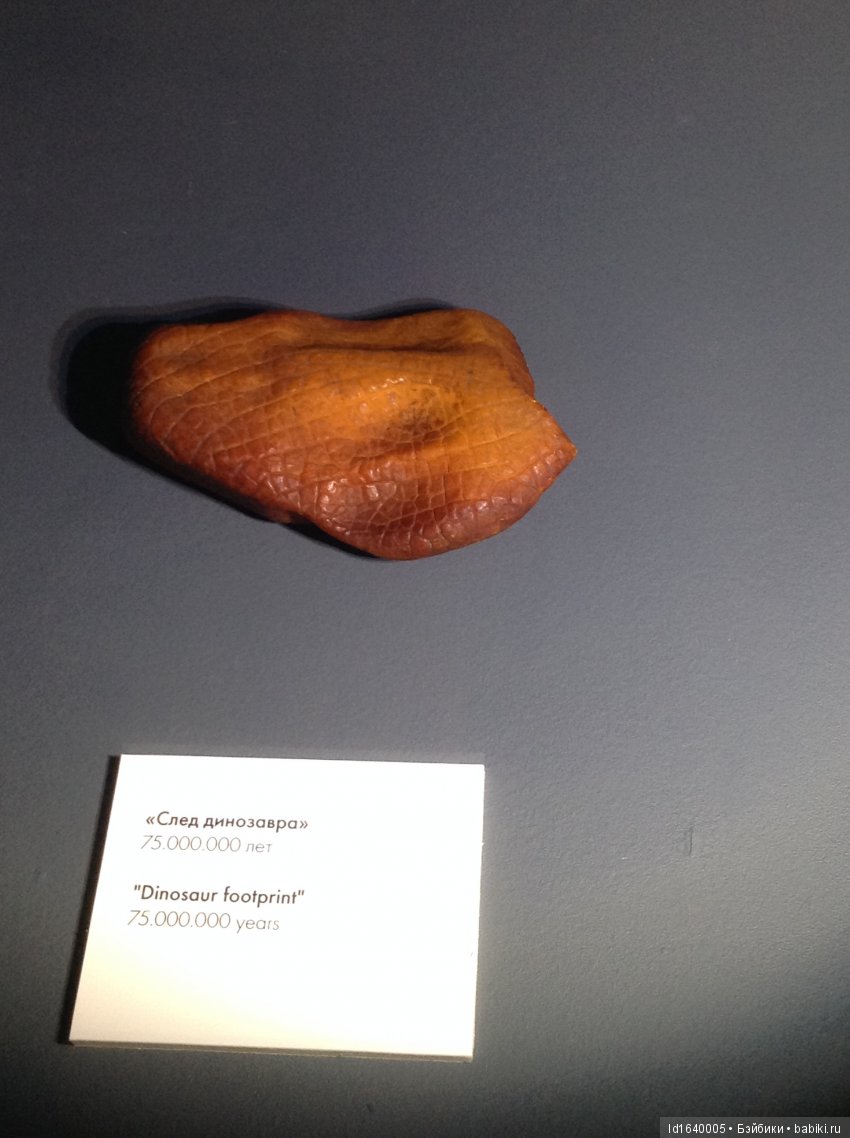 Милая сердцу Божедомка. Ч.5. Выставка "Парк янтарного периода". "Слезы Гелиад". "Янтарь и куклы"