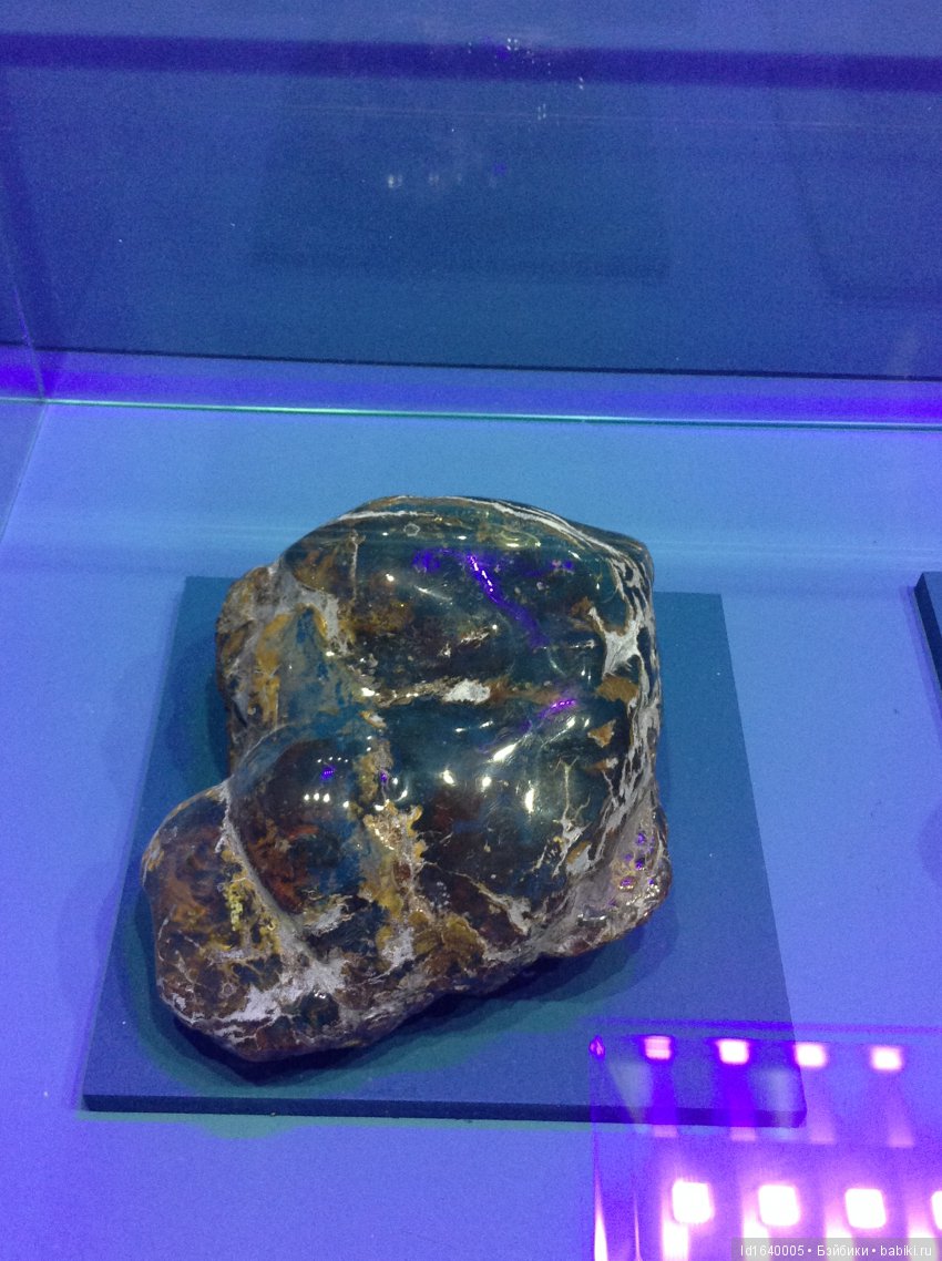 Милая сердцу Божедомка. Ч.5. Выставка "Парк янтарного периода". "Слезы Гелиад". "Янтарь и куклы"