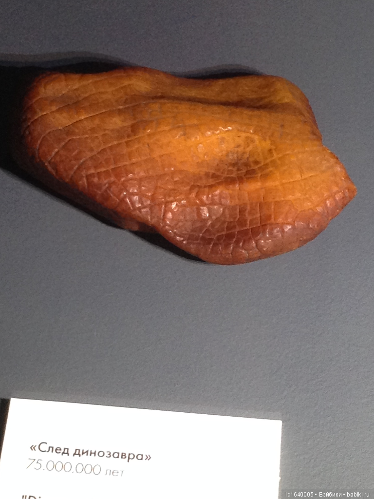 Милая сердцу Божедомка. Ч.5. Выставка "Парк янтарного периода". "Слезы Гелиад". "Янтарь и куклы"