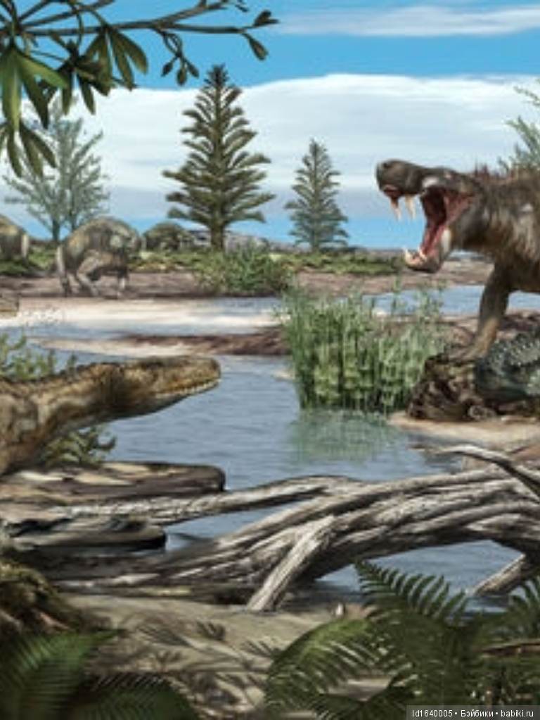 Милая сердцу Божедомка. Ч.5. Выставка "Парк янтарного периода". "Слезы Гелиад". "Янтарь и куклы"