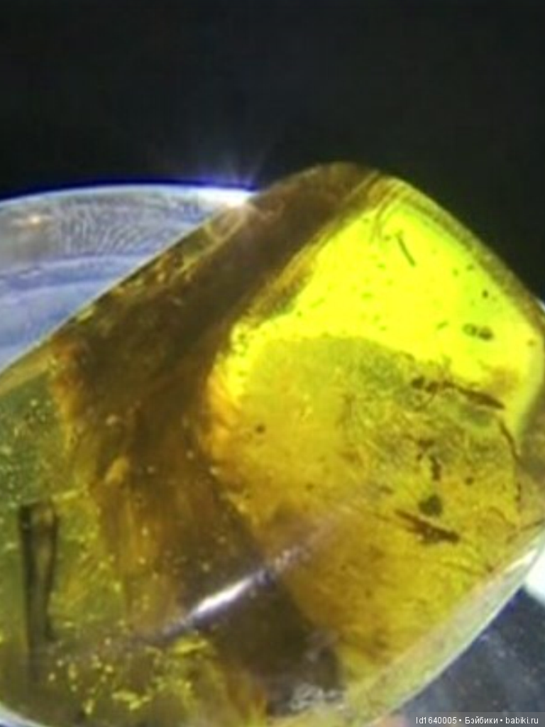 Милая сердцу Божедомка. Ч.5. Выставка "Парк янтарного периода". "Слезы Гелиад". "Янтарь и куклы"