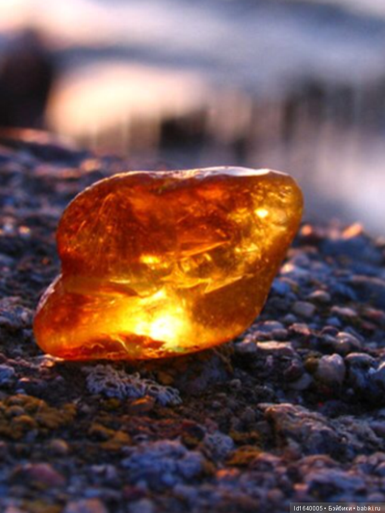 Милая сердцу Божедомка. Ч.5. Выставка "Парк янтарного периода". "Слезы Гелиад". "Янтарь и куклы" (фото 4)