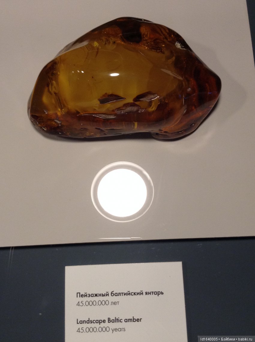 Милая сердцу Божедомка. Ч.5. Выставка "Парк янтарного периода". "Слезы Гелиад". "Янтарь и куклы"