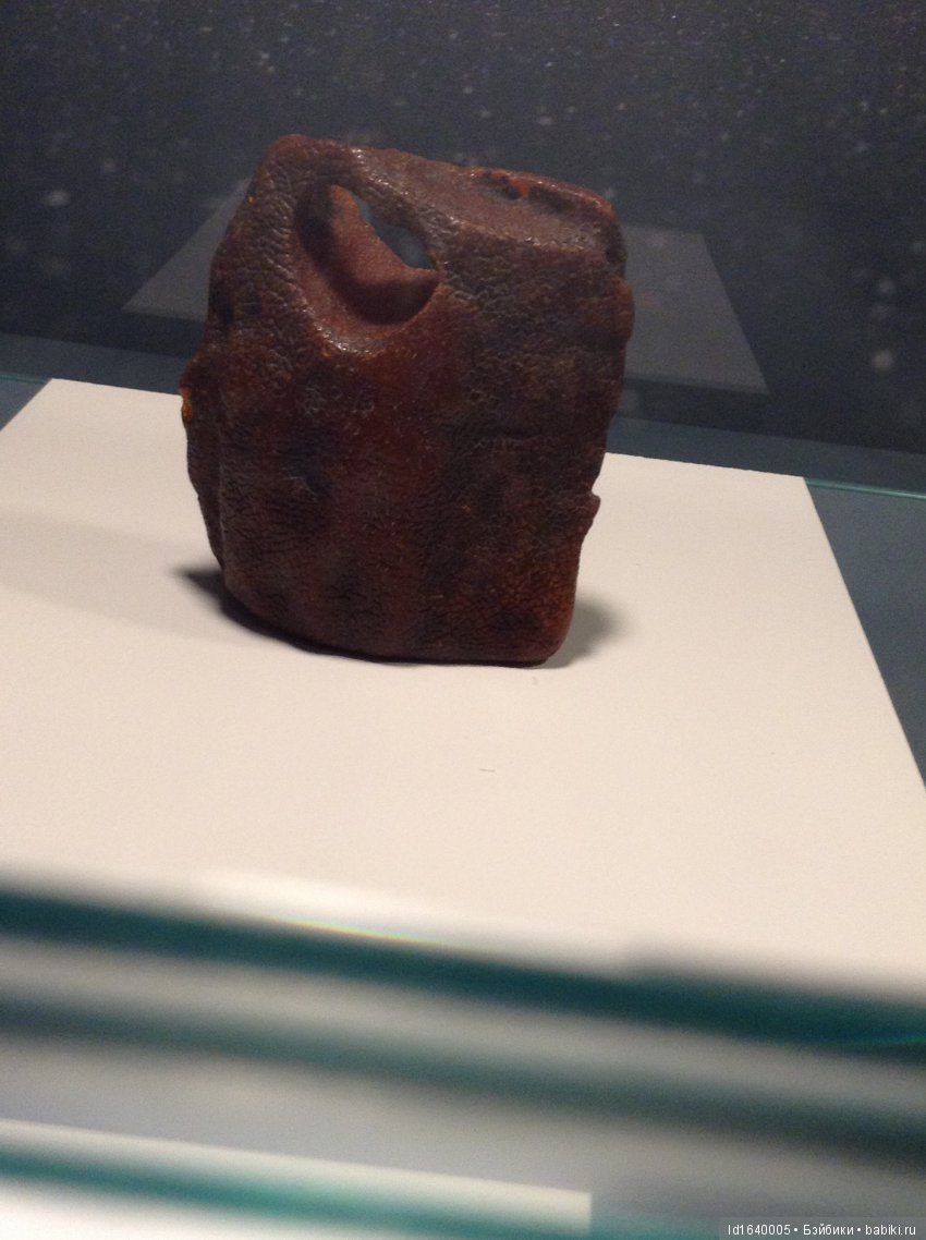 Милая сердцу Божедомка. Ч.5. Выставка "Парк янтарного периода". "Слезы Гелиад". "Янтарь и куклы"