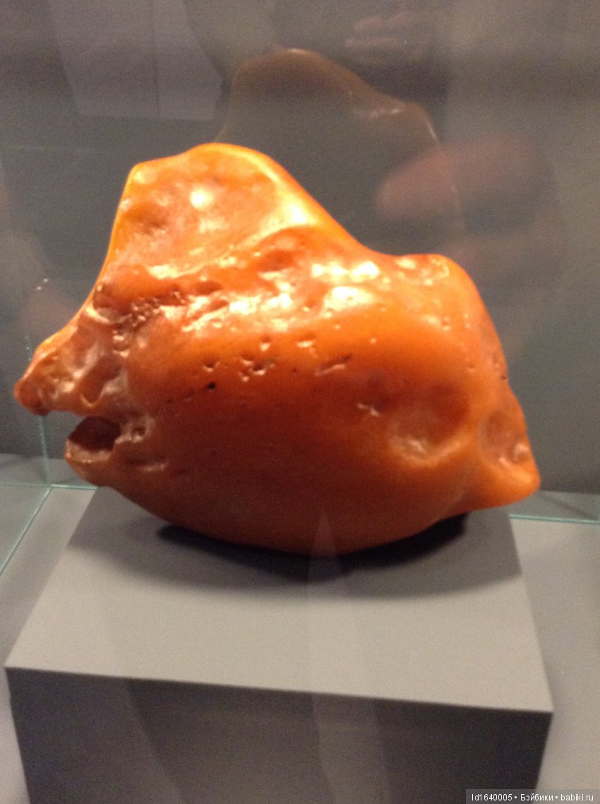 Милая сердцу Божедомка. Ч.5. Выставка "Парк янтарного периода". "Слезы Гелиад". "Янтарь и куклы"