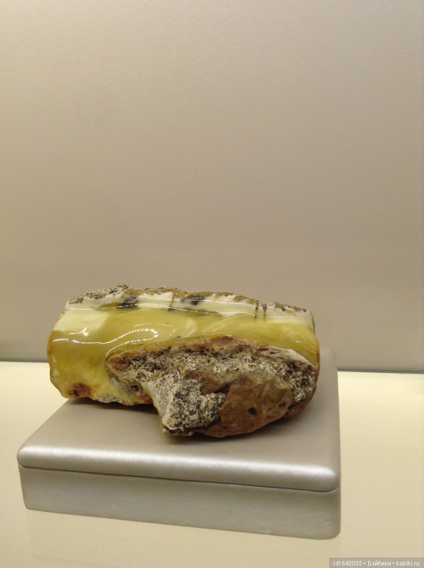 Милая сердцу Божедомка. Ч.5. Выставка "Парк янтарного периода". "Слезы Гелиад". "Янтарь и куклы"