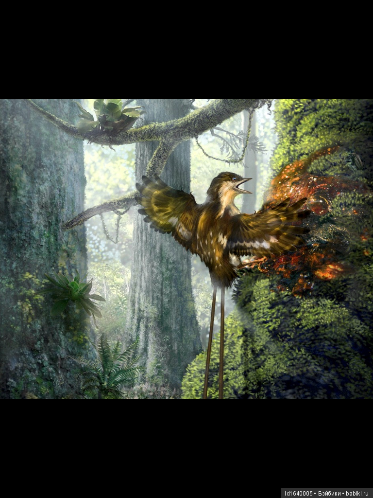 Милая сердцу Божедомка. Ч.5. Выставка "Парк янтарного периода". "Слезы Гелиад". "Янтарь и куклы"