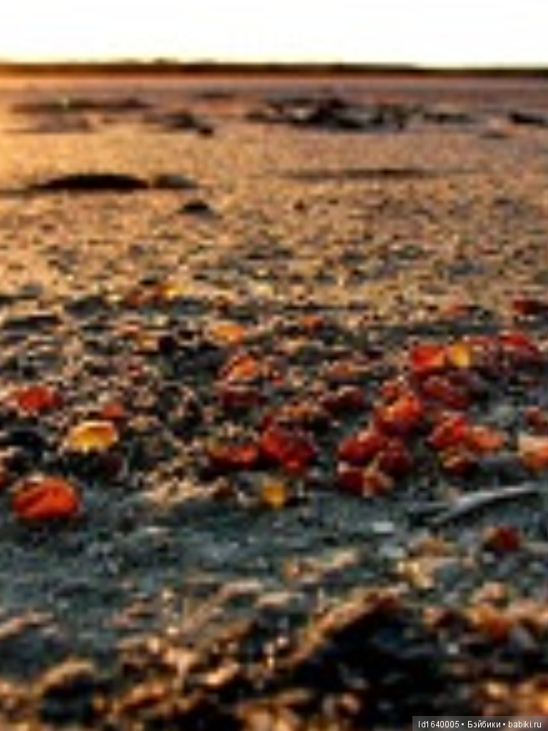 Милая сердцу Божедомка. "Парк янтарного периода". ч.6. (Продолжение). Изделия и украшения из янтаря (фото 10)