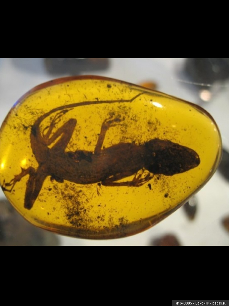 Милая сердцу Божедомка. Ч.5. Выставка "Парк янтарного периода". "Слезы Гелиад". "Янтарь и куклы"