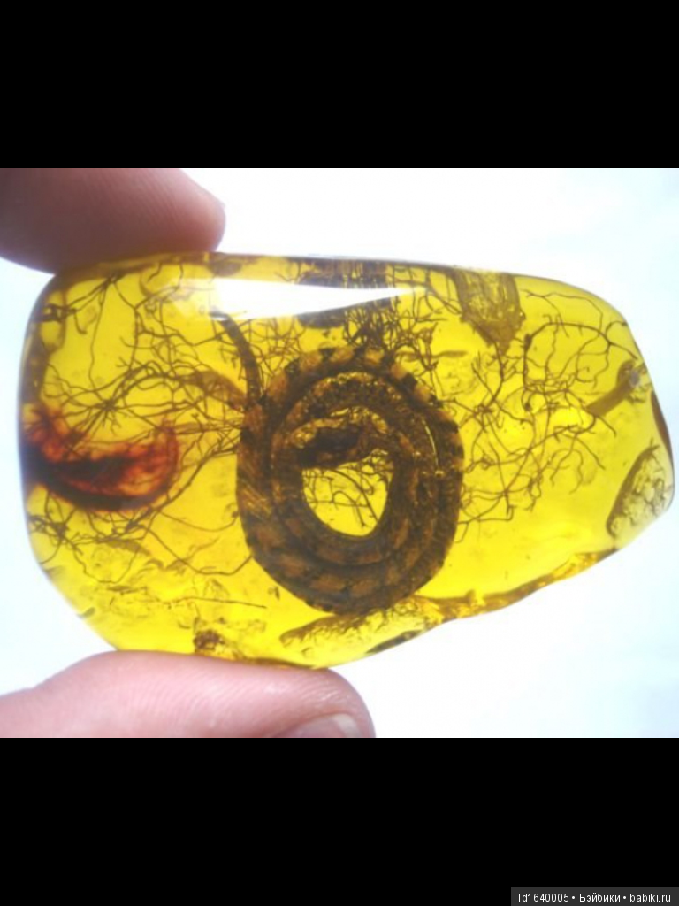 Милая сердцу Божедомка. Ч.5. Выставка "Парк янтарного периода". "Слезы Гелиад". "Янтарь и куклы"