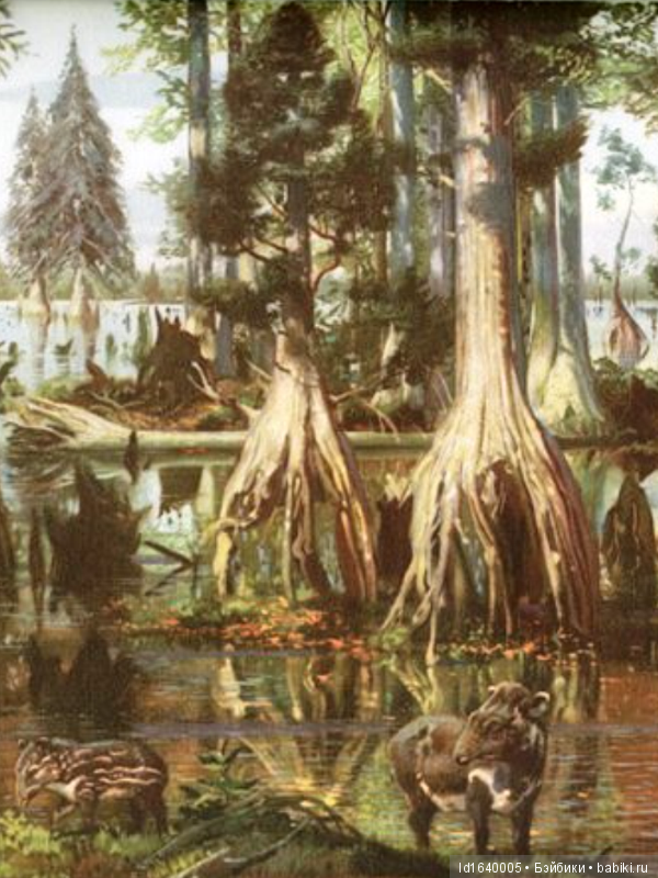 Милая сердцу Божедомка. "Парк янтарного периода". ч.6. (Продолжение). Изделия и украшения из янтаря (фото 2)