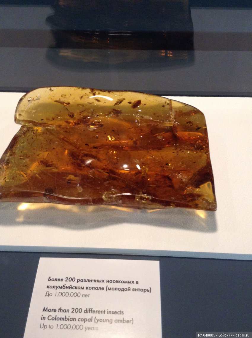 Милая сердцу Божедомка. "Парк янтарного периода". ч.6. (Продолжение). Изделия и украшения из янтаря