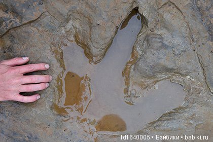 Милая сердцу Божедомка. "Парк янтарного периода". ч.6. (Продолжение). Изделия и украшения из янтаря (фото 4)