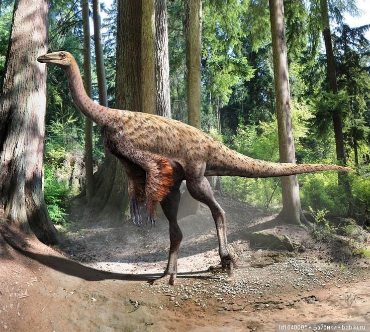 Милая сердцу Божедомка. "Парк янтарного периода". ч.6. (Продолжение). Изделия и украшения из янтаря (фото 3)