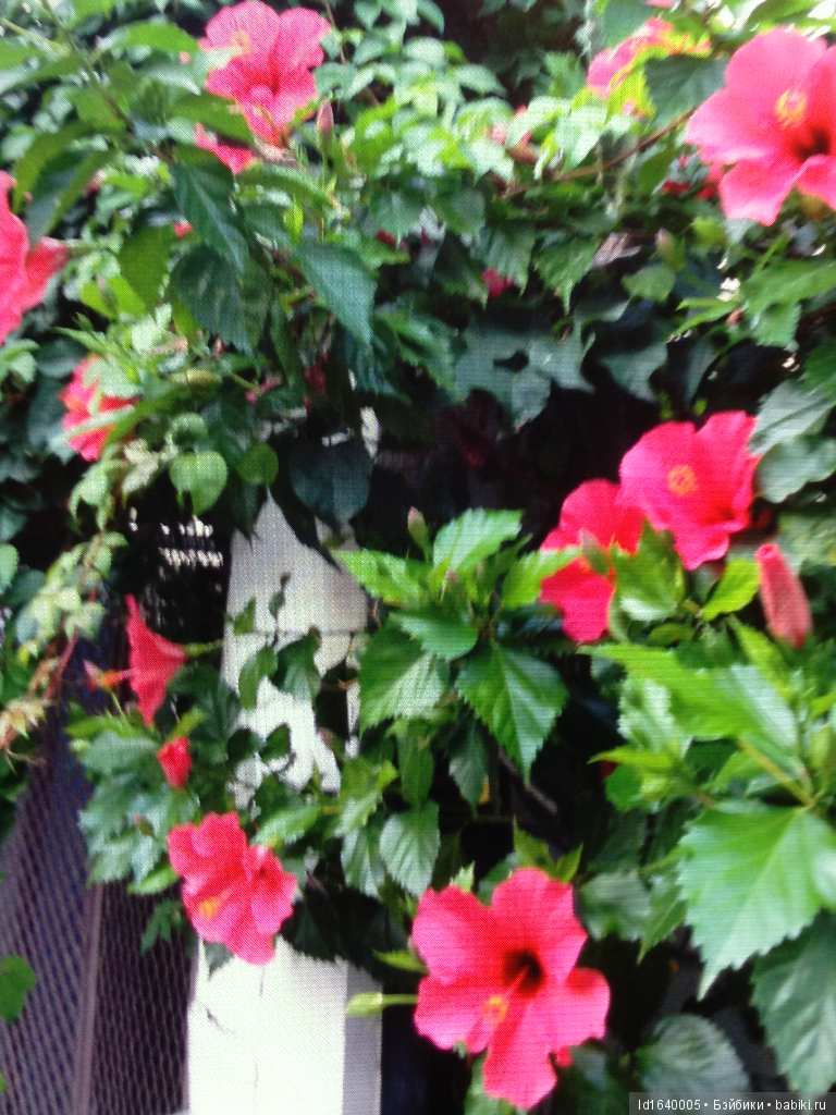 Путешествие Минуш в Испанию. Каталония. Ч.1. Рассвет над облаками. О-ла, Барселона