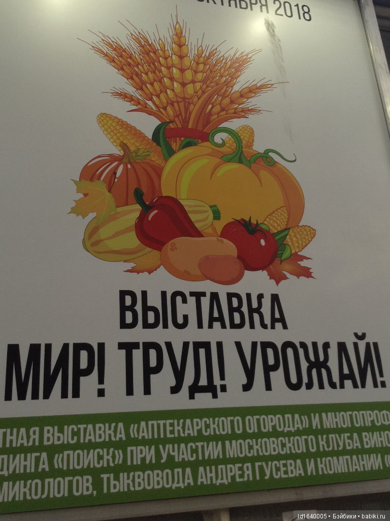 Аптекарский огород сегодня. ч.5. Грибной фестиваль