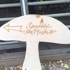 Аптекарский огород сегодня. ч.5. Грибной фестиваль