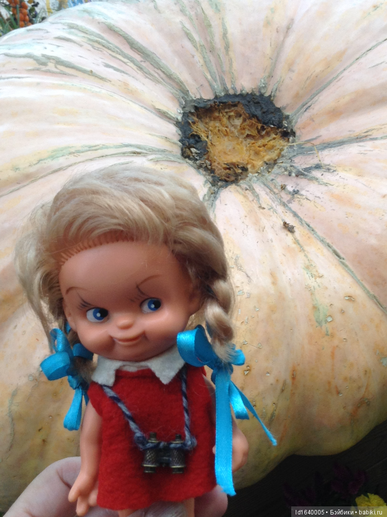 Аптекарский огород сегодня. ч.5. Грибной фестиваль