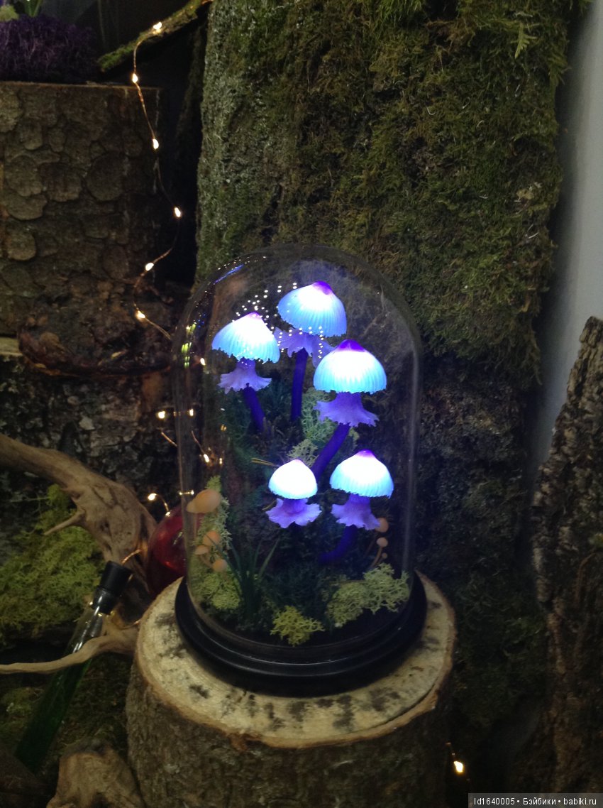 Здравствуй, Мишка! Hello Teddy 2018 на Тишинке или Как я за медведем ходила