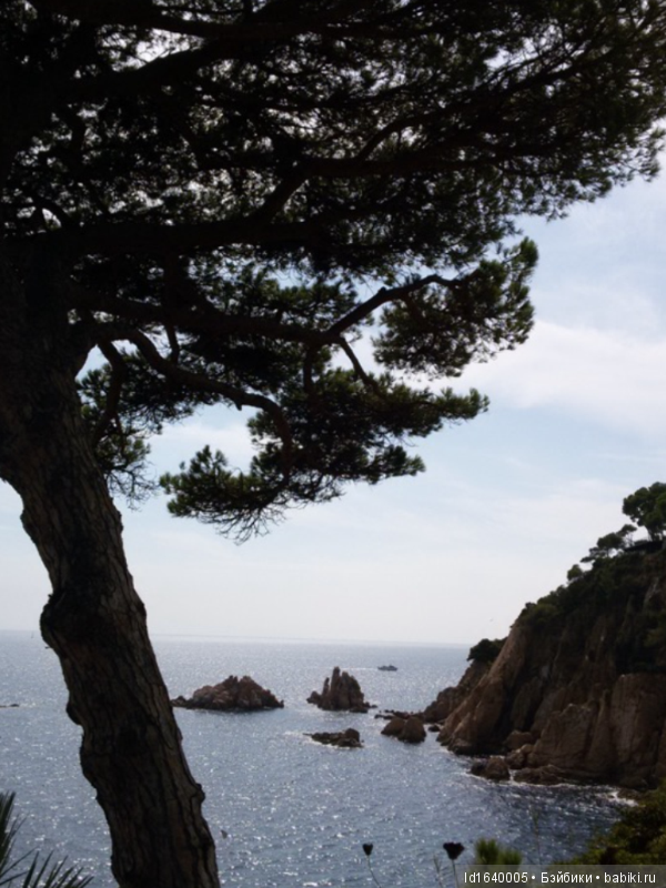 Путешествие Минуш в Испанию. Каталония. Ч.5. Райские сады (окончание) (фото 8)