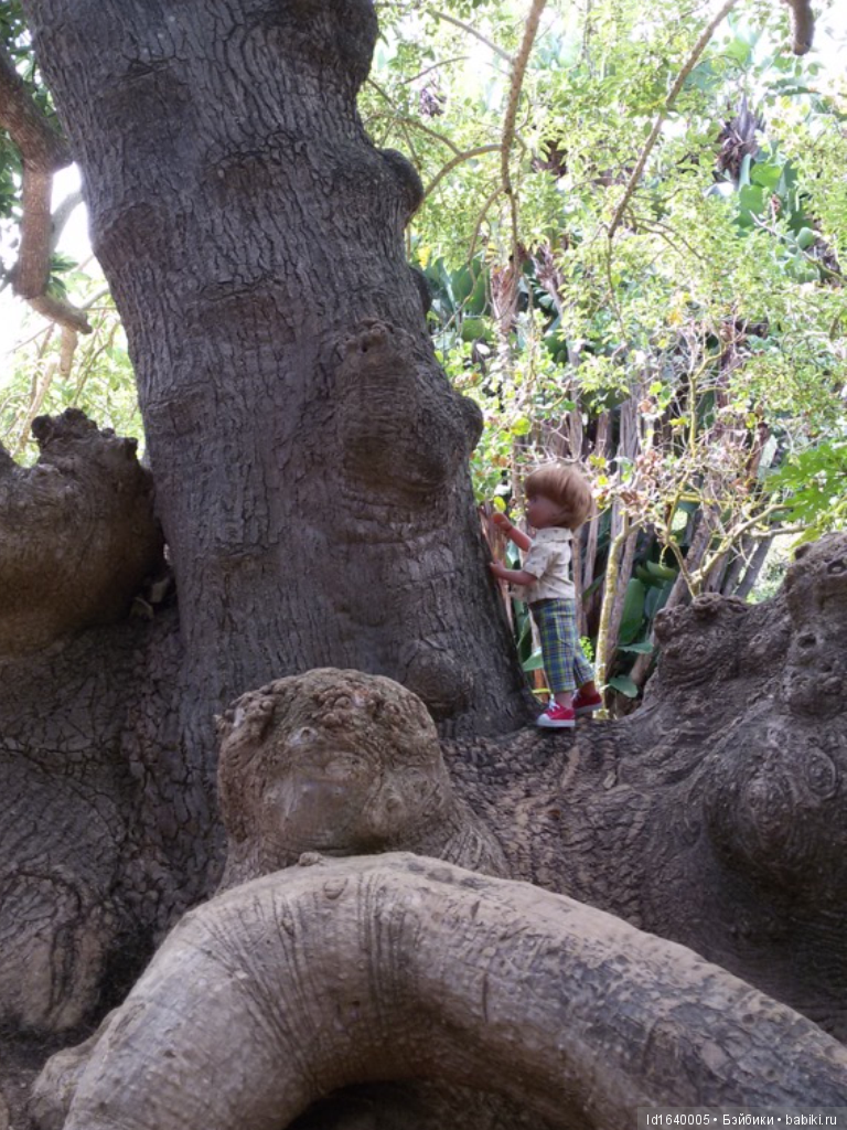 Путешествие Минуш в Испанию. Каталония. Ч.4. Райские сады (продолжение)