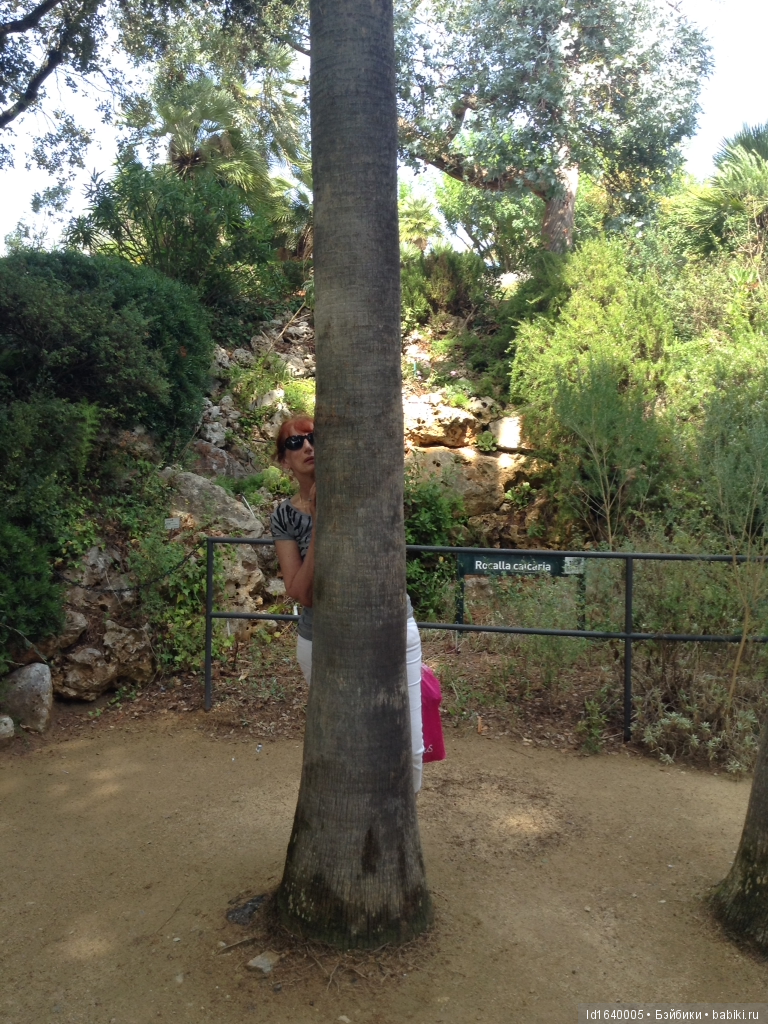 Путешествие Минуш в Испанию. Каталония. Ч.4. Райские сады (продолжение) (фото 10)