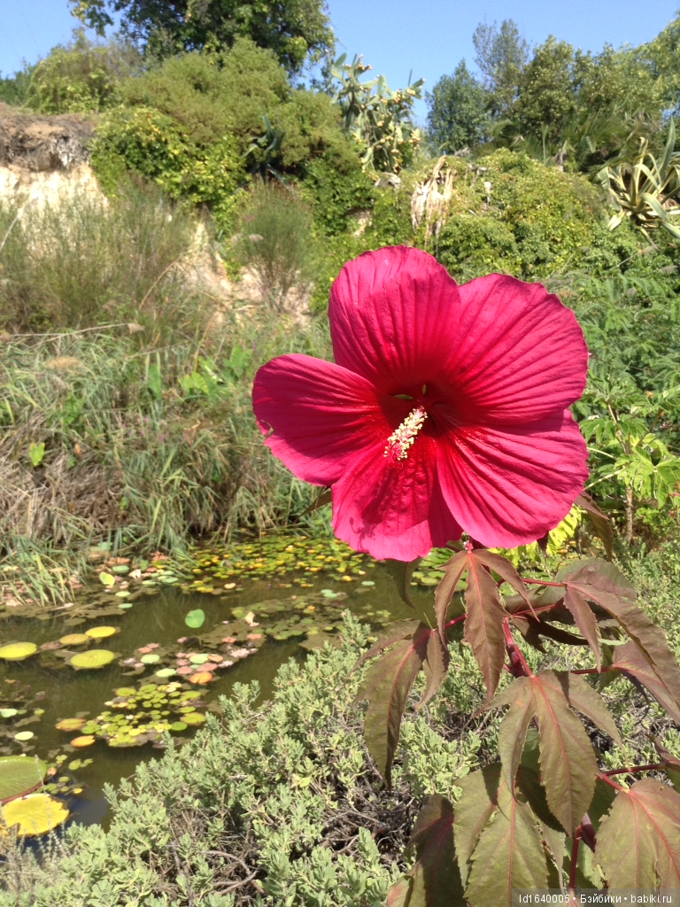 Путешествие Минуш в Испанию. Каталония. Ч.5. Райские сады (окончание)
