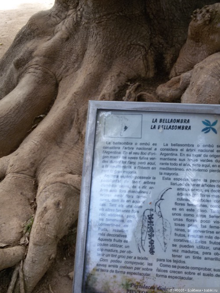 Путешествие Минуш в Испанию. Каталония. Ч.4. Райские сады (продолжение)