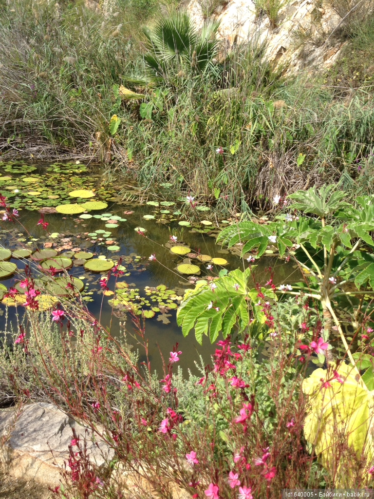 Путешествие Минуш в Испанию. Каталония. Ч.5. Райские сады (окончание) (фото 2)