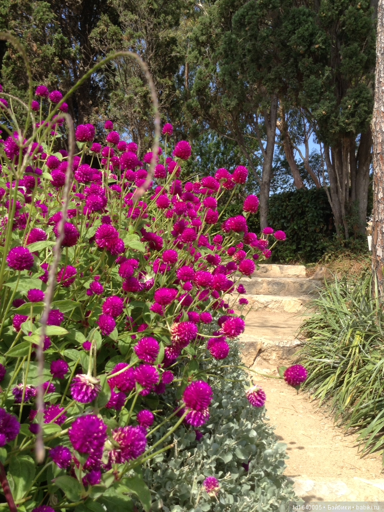 Путешествие Минуш в Испанию. Каталония. Ч.4. Райские сады (продолжение)