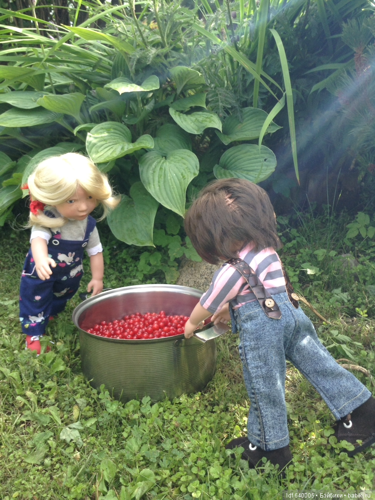 Красное наваждение или Что сорока на хвосте принесла