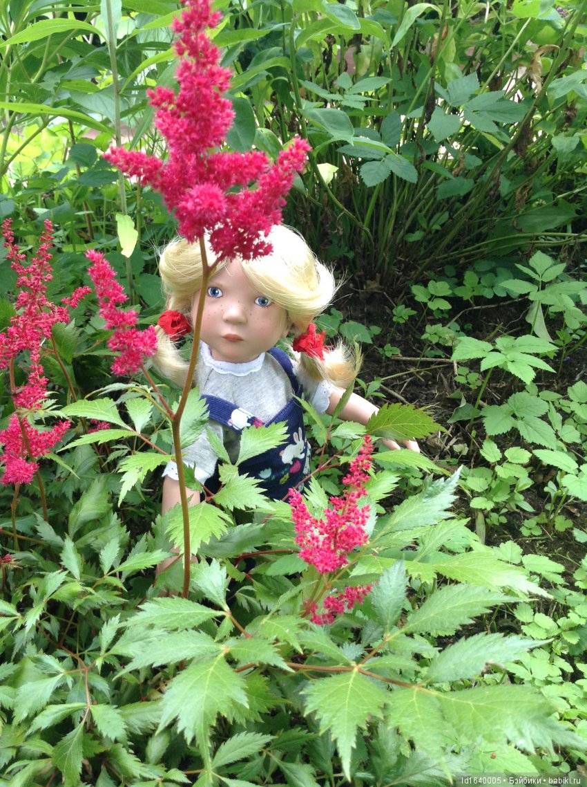 Красное наваждение или Что сорока на хвосте принесла