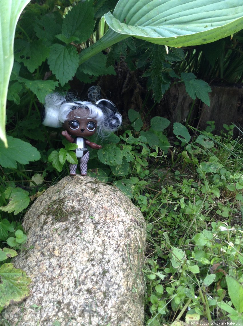 Красное наваждение или Что сорока на хвосте принесла