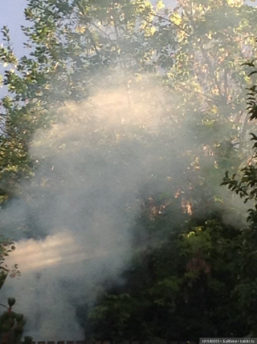 Красное наваждение или Что сорока на хвосте принесла